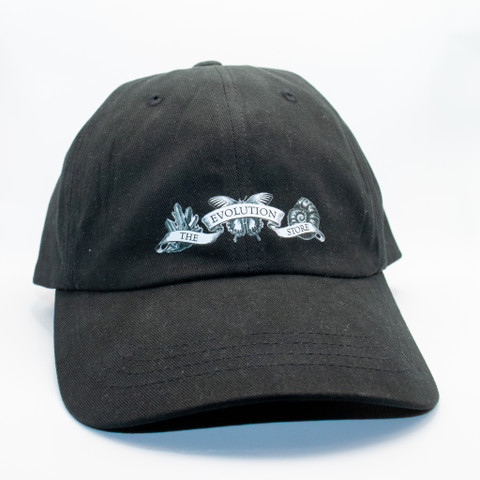 Evolution Banner Cap
