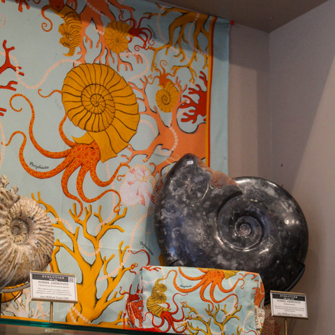 BRESCIA x Evolution Prehistoric Seas Collection - Silk Scarf BRESCIA x Evolution Prehistoric Seas Collection - Silk Scarf