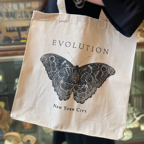 Butterfly Tote Bag Butterfly Tote Bag