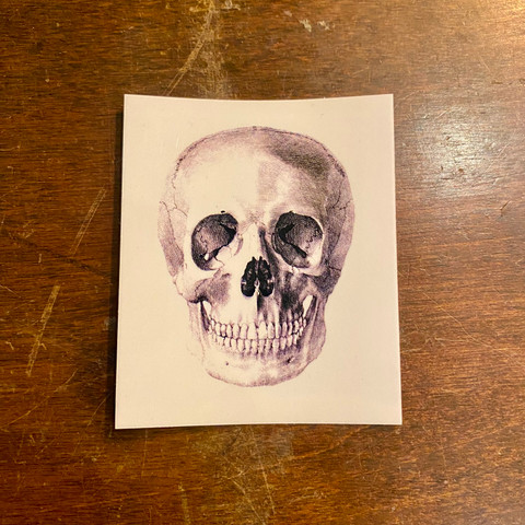 Evolution Skull Temporary Tattoo