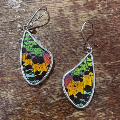 Madagascar Sunset Moth Earrings - Wing Shapes