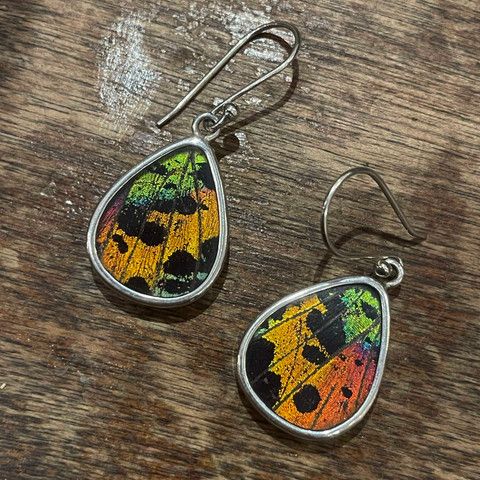 Madagascar Sunset Moth Earrings - Medium Geometric Shapes