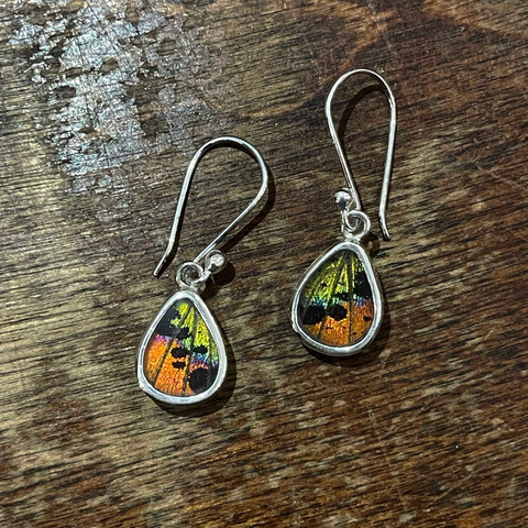 Madagascar Sunset Moth Earrings - Small Geometric Shapes