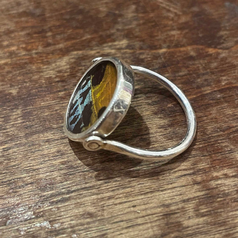 Madagascar Sunset Moth (Urania ripheus) Ring - Reversible  Madagascar Sunset Moth (Urania ripheus) Ring - Reversible