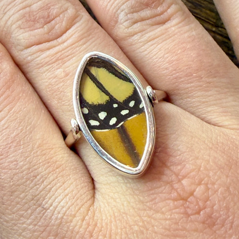 The Monarch Butterfly (Danaus plexippus) Ring - Reversible