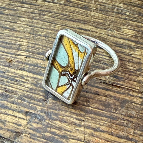 The Malachite Butterfly (Siproeta stelenes) Ring - Reversible