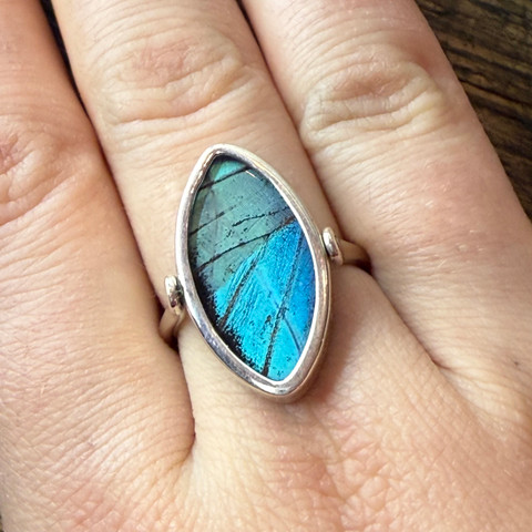 The Prepona Butterfly (Prepona sp.) Ring - Reversible  The Prepona Butterfly (Prepona sp.) Ring - Reversible