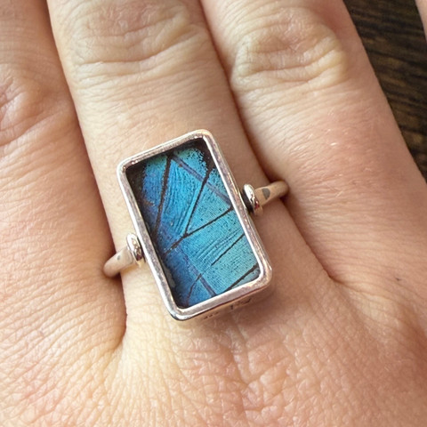 The Prepona Butterfly (Prepona sp.) Ring - Reversible  The Prepona Butterfly (Prepona sp.) Ring - Reversible