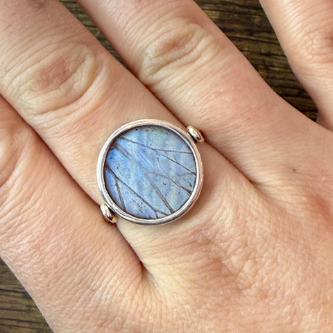 The Sulkowskyi Butterfly (Morpho sulkowskyi) Ring - Reversible