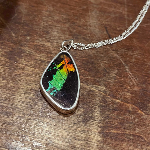 Madagascar Sunset Moth Necklace - Small Wing Pendant