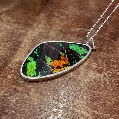 Madagascar Sunset Moth Necklace - Medium Wing Pendant