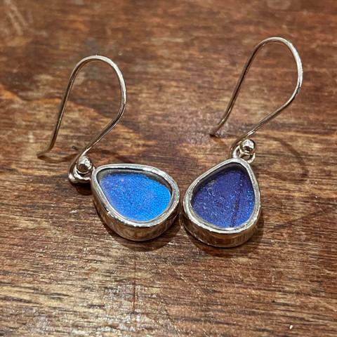 Morpho Menelaus Butterfly Earrings - Small Geometric Shapes