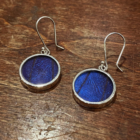 Morpho Menelaus Butterfly Earrings - Medium Geometric Shapes