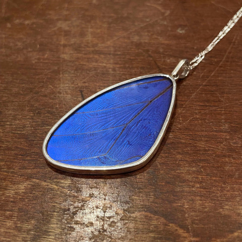 Morpho Menelaus Butterfly Necklace - Large Wing Pendant