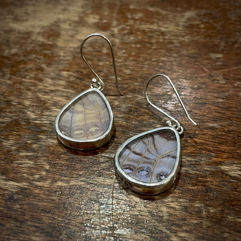 Morpho Sulkowskyi Butterfly Earrings - Medium Geometric Shapes