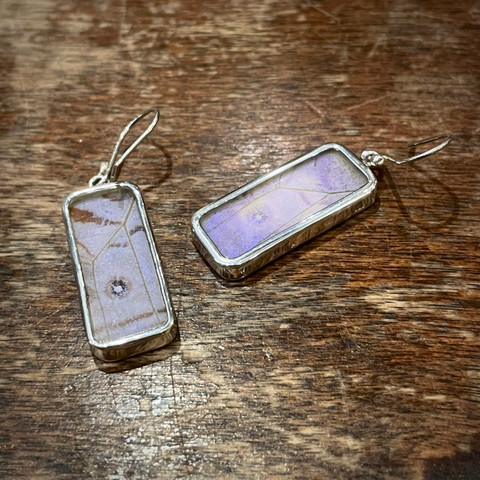 Morpho Sulkowskyi Butterfly Earrings - Large Geometric Shapes