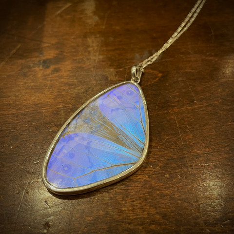 Morpho Sulkowskyi  Butterfly Necklace - Medium Wing Pendant