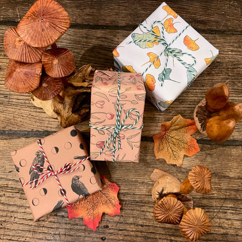 Raven Mystery Box - Medium 