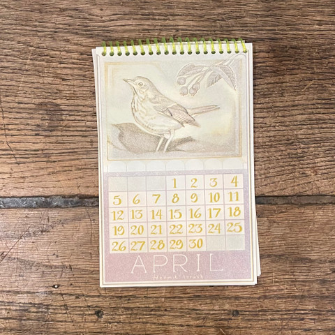 NYC Bird Calendar 2026