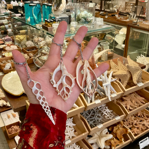 Sliced Sea Shell Keychain - Spindle