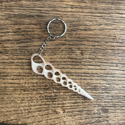 Sliced Sea Shell Keychain - Spindle