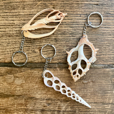 Sliced Sea Shell Keychain - Murex