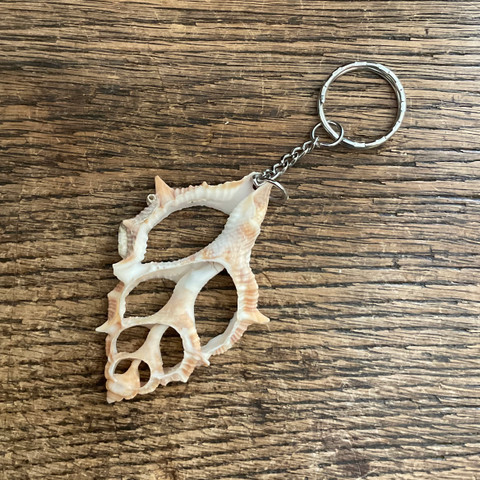 Sliced Sea Shell Keychain - Murex