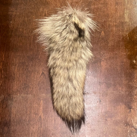 Coyote Tail Keychain