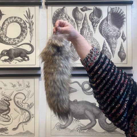 Coyote Tail Keychain