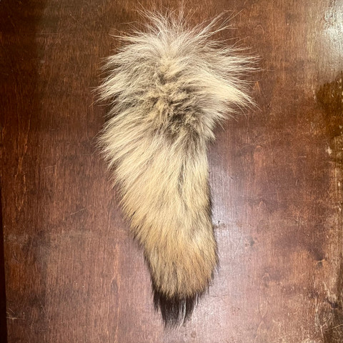 Coyote Tail Keychain