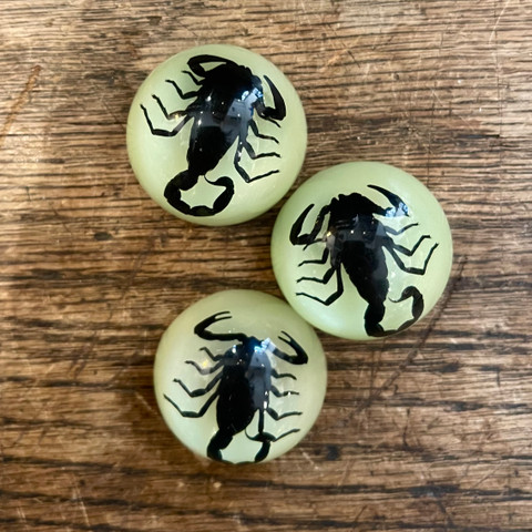 Black Scorpion Glow-in-the-Dark Magnet