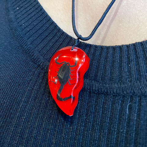 Red Heart Pair Scorpion Necklaces