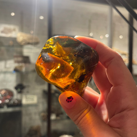 Amber - Medium Piece