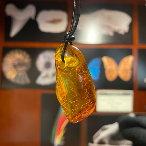  Amber - Necklace