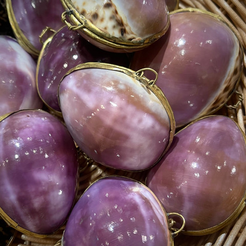 Shell Coin Purse - Tiger Cowrie (Purple)