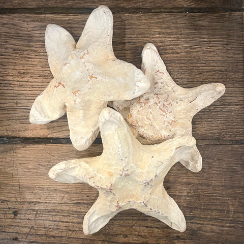 White Wax Star