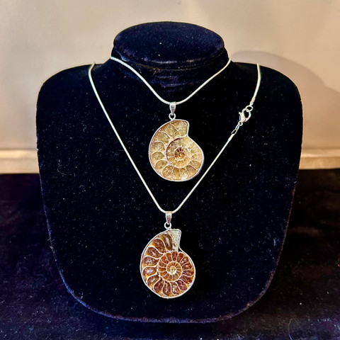 Ammonite Necklace