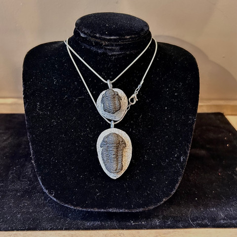 Trilobite Necklace