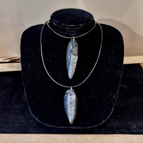 Nautiloid Necklace