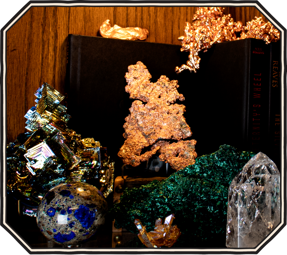 The Evolution Store | Nature, Science and Art