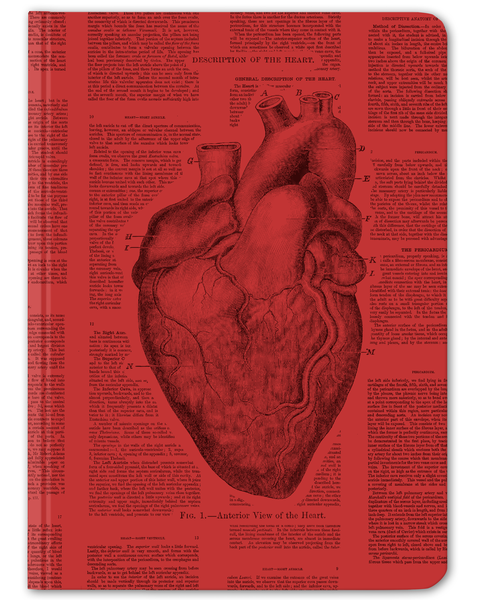 Anatomical Journals Evolution Store