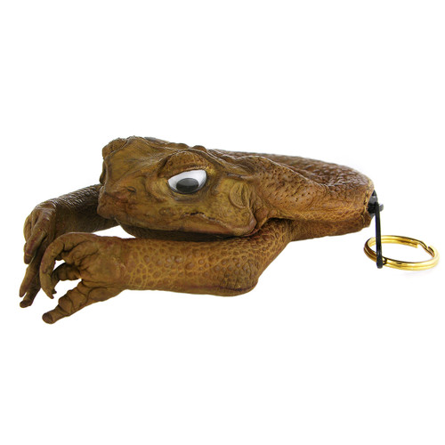 1 Cane Toad Skin full body Zip Up Coin Purse Australian made Rare key case  ring | eBay