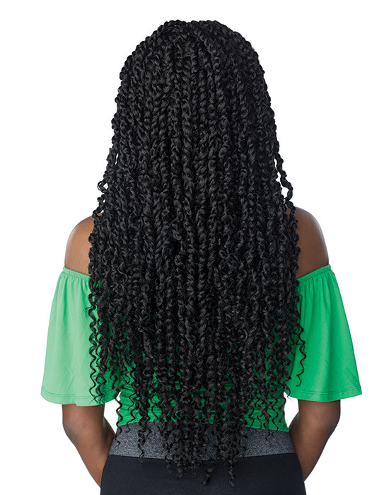 Cloud 9 Braided Lace Wig - 4x4 Passion Twist