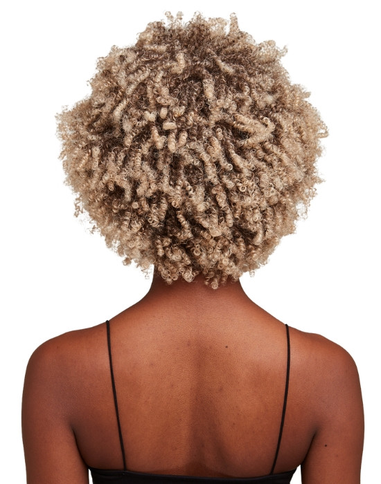 Feme Afro Lace Wig - Loose Twist Out