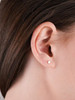 Classic Minimalist Circle Studs: Gold, Silver Or Rose 