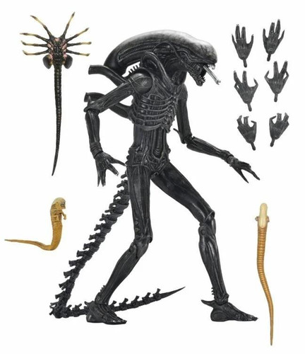  NECA Alien Romulus Ultimate Xenomorph XX121 7" Figure 