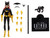  DC Direct The New Adventures of Batman Animated Series Batgirl 6" Figure 