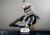  Hot Toys Star Wars Ashoka Captain Rex 1/6 Scale Figure 