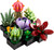LEGO Botanical Collection 10309 Succulents   LEGO Botanical Collection 10309 Succulents