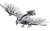 Hasbro Transformers x Monster Hunter Synergenex Series Silver Rathalos Prime